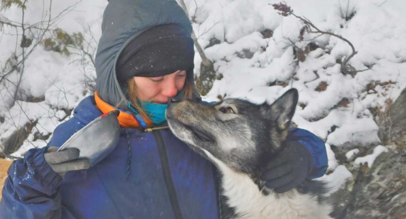 A person wearing heavy snow gear touches noses with a sled dog